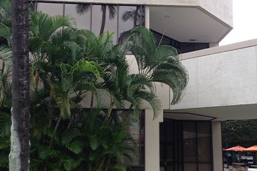 aiea verga pearlridge