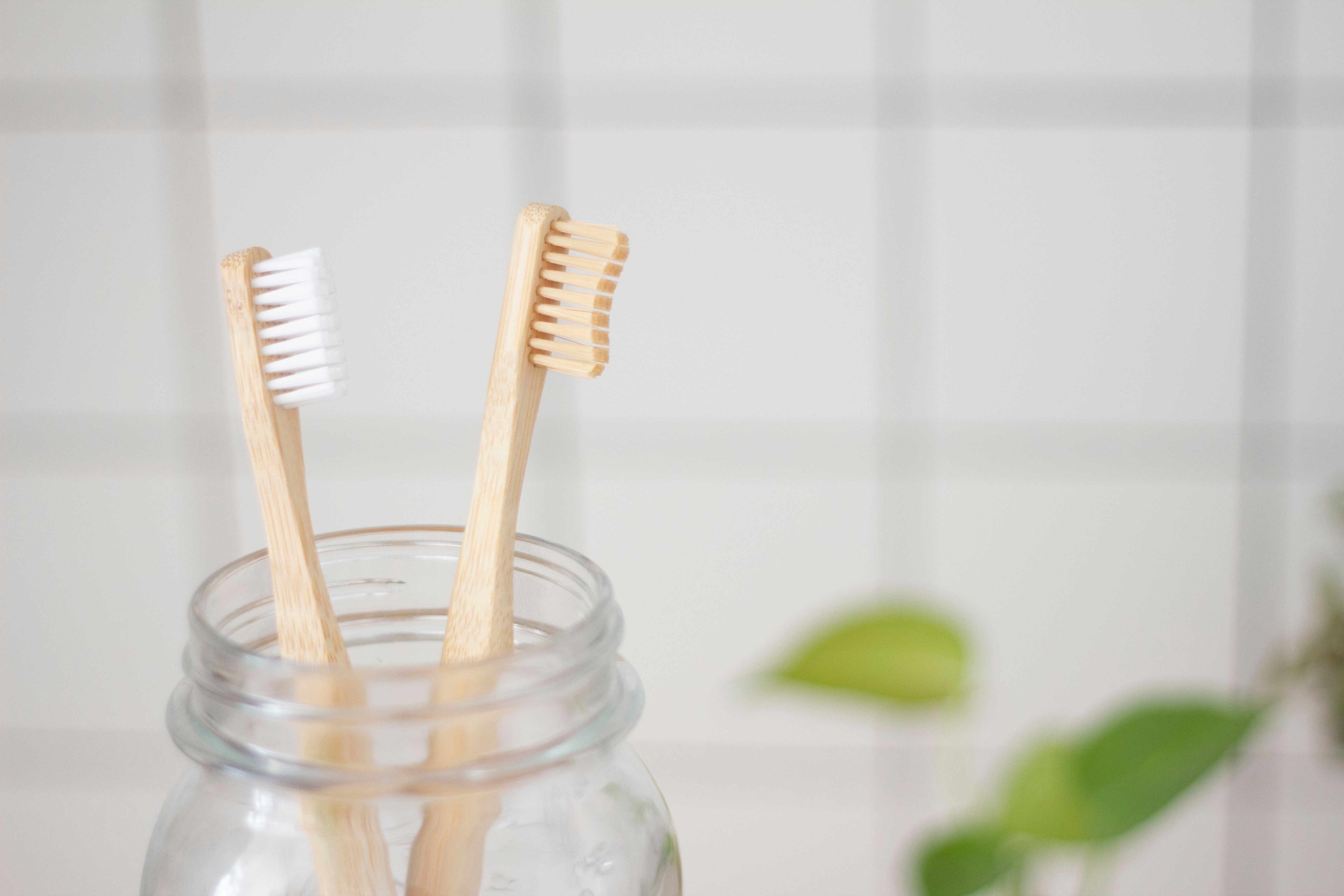 Featured image for “What’s Better, An Electric or Manual Toothbrush?”