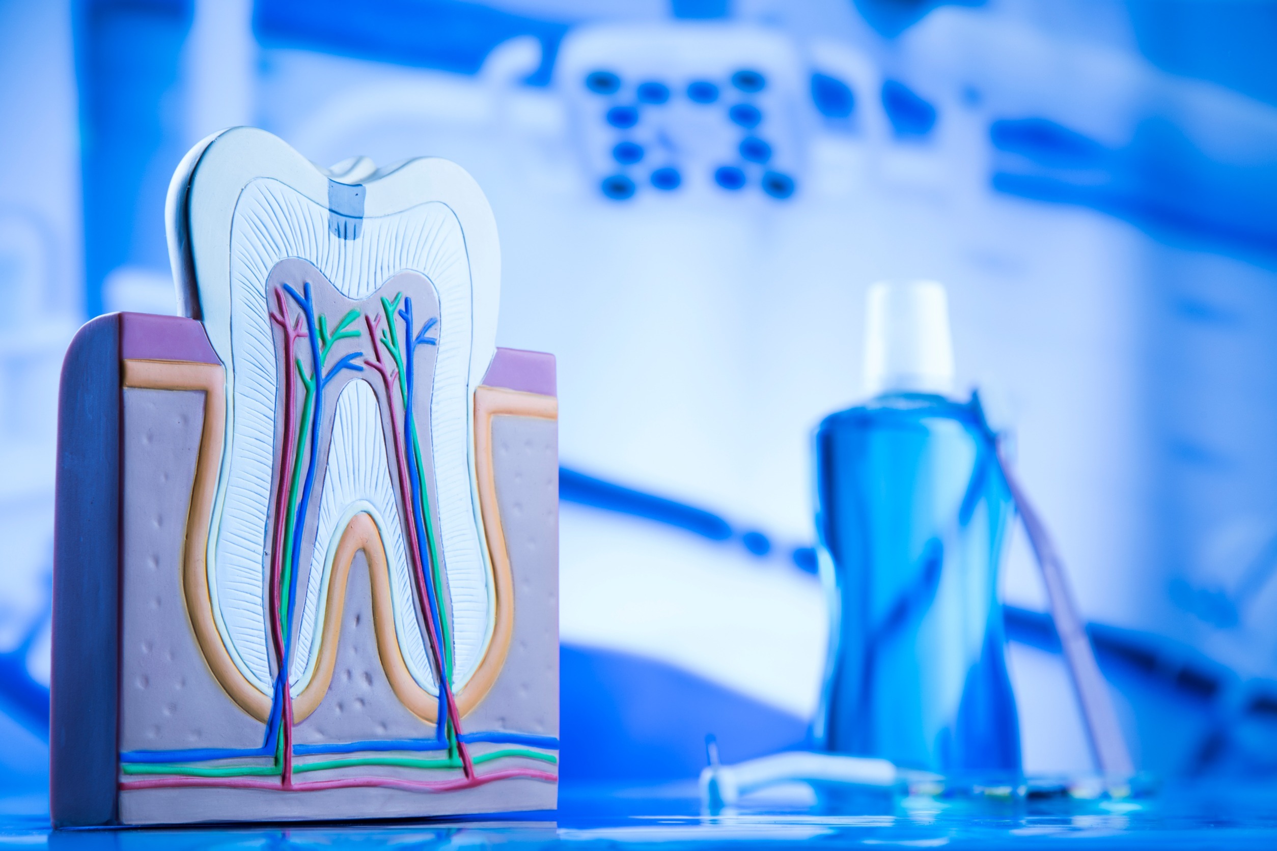 Understanding Endodontics Root Canal Myths and Realities Dentist