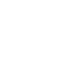 Vector
