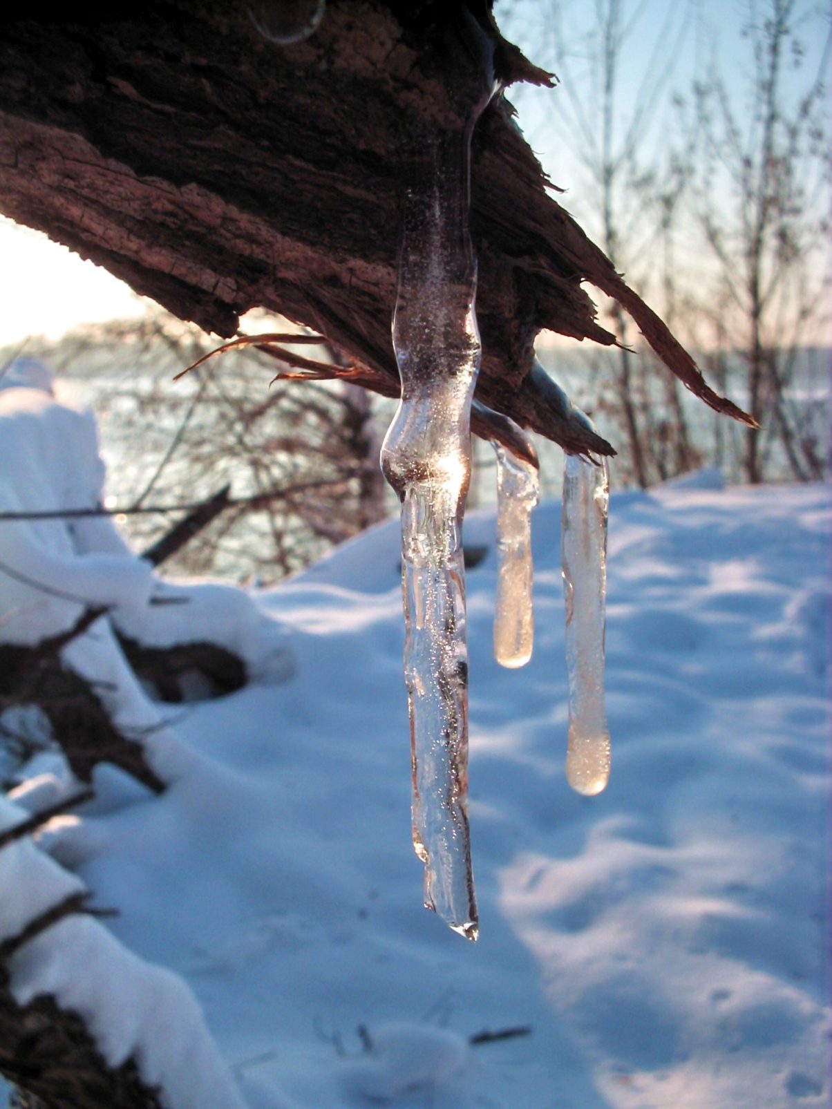 snow and ice representing cold weather and temperatures