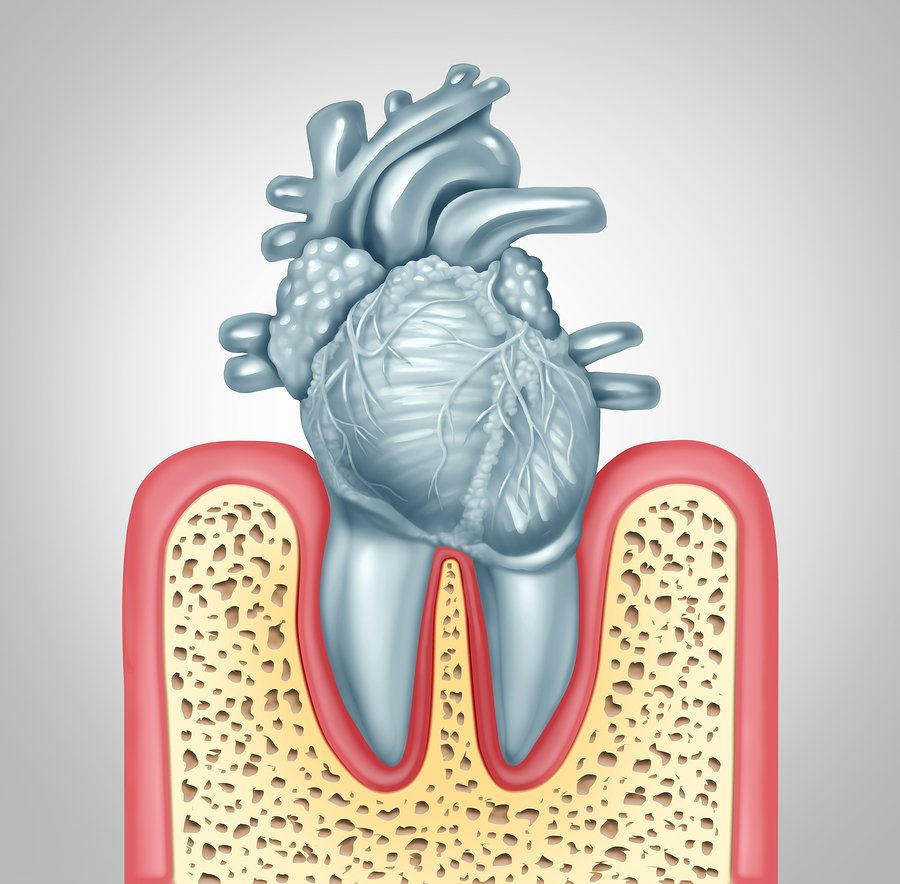 Featured image for “How Oral Health Can Impact Your Body”
